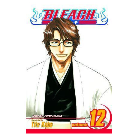 Bleach: vol 12
