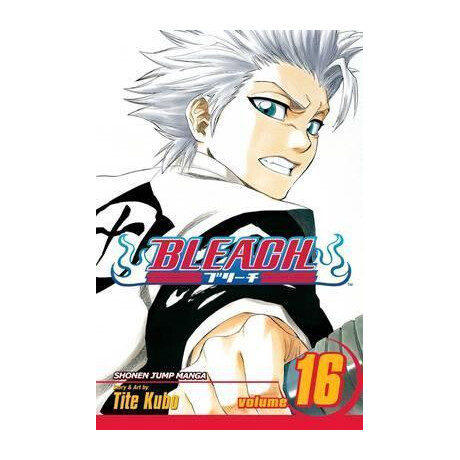 Bleach: vol 16