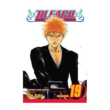Bleach: vol 19