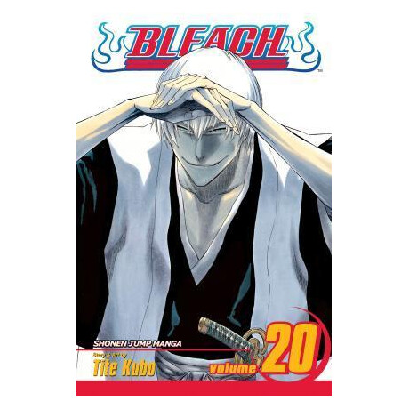 Bleach: vol 20