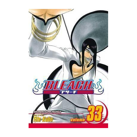 Bleach: vol 33