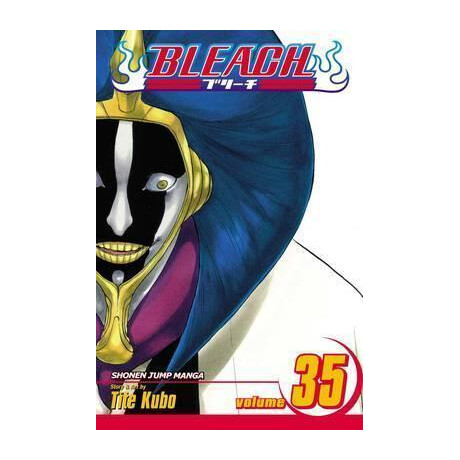 Bleach: vol 35