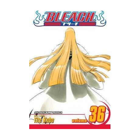 Bleach: vol 36