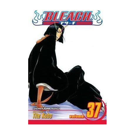 Bleach, Vol. 37
