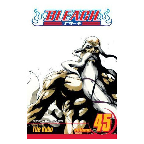 Bleach: vol 45