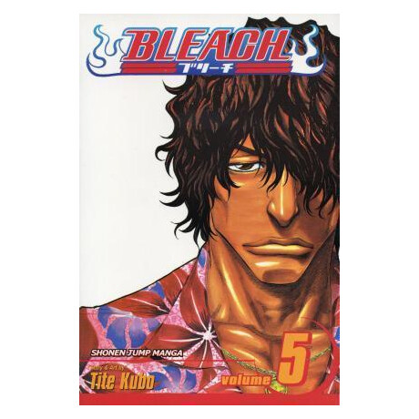 Bleach: vol 05