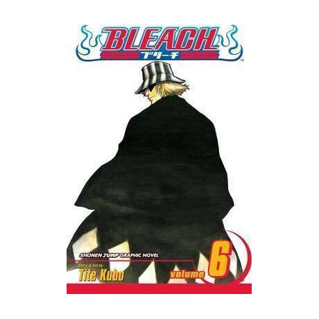 Bleach: vol 06