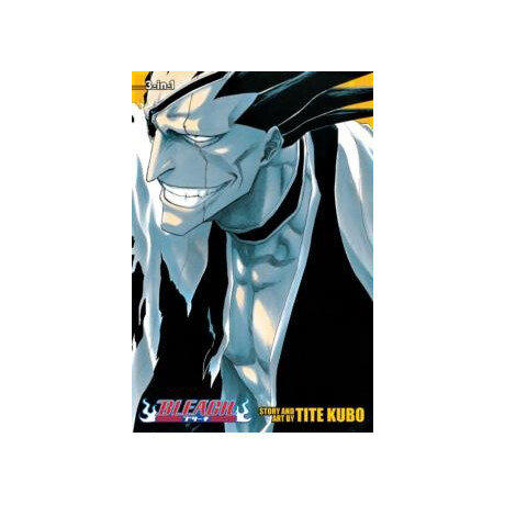 Bleach (3-in-1 Edition), Vol. 5