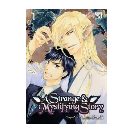 A Strange & Mystifying Story, Vol. 1