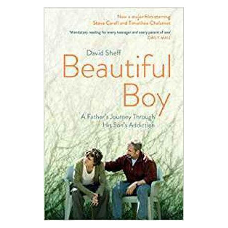 Beautiful boy : a Father's Journey Through his Son's Addiction