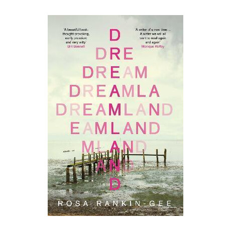 Dreamland : an Evening Standard 'best new Book' of 2021