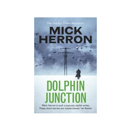 Dolphin Junction