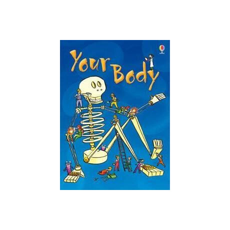 Your Body