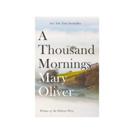 Thousand Mornings