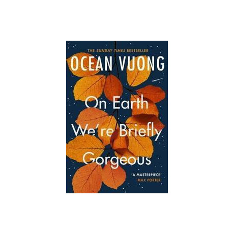 On Earth We're Briefly Gorgeous