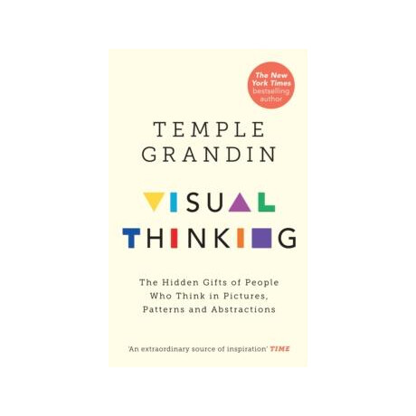 Visual Thinking