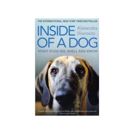 Inside of a dog