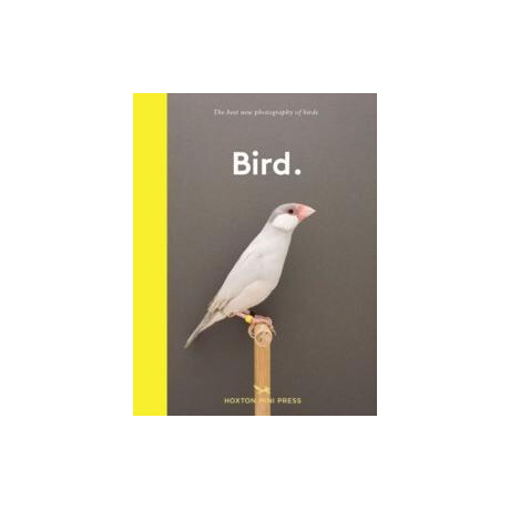 Bird.