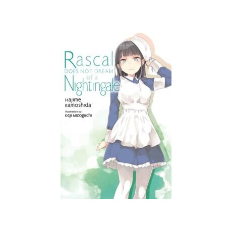 Rascal Does not Dream, Vol. 11 (Light Novel)
