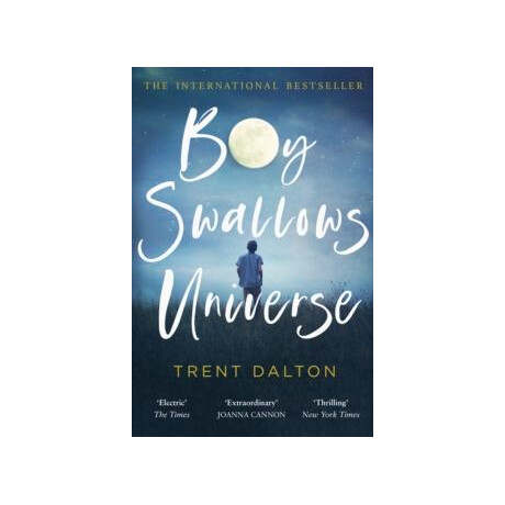 Boy Swallows Universe