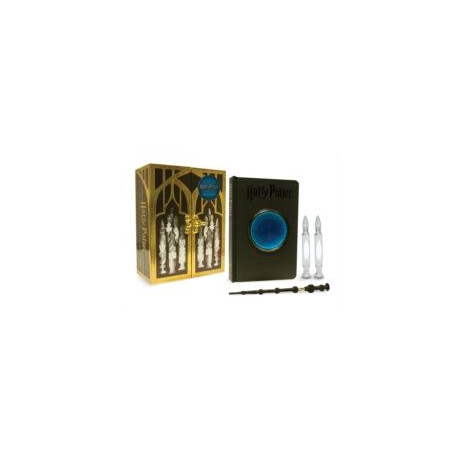 Harry Potter Pensieve Memory set
