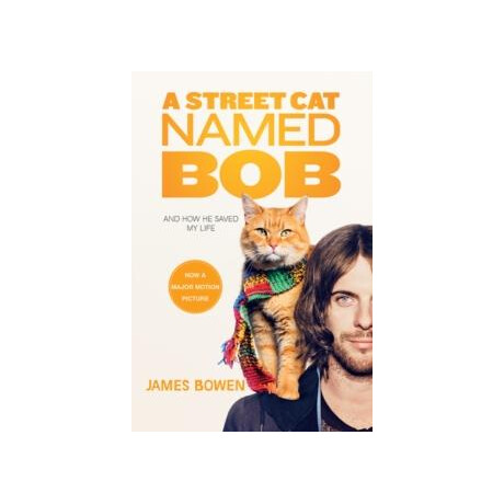 Street cat Named bob
