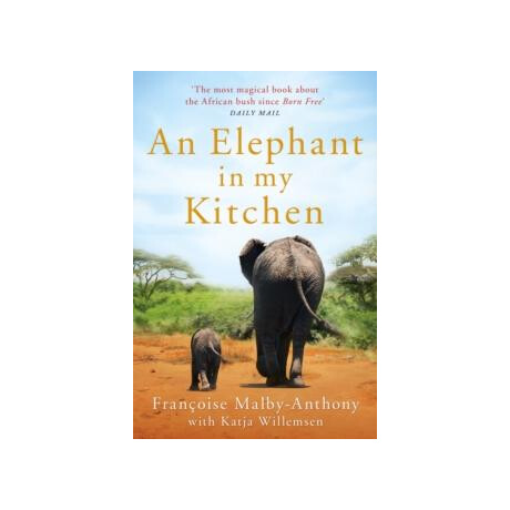 Elephant in my Kitchen