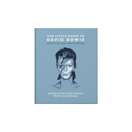 Little Guide to David Bowie
