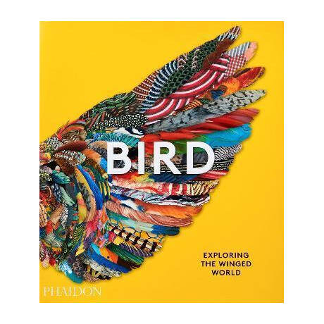 Bird: Exploring the Winged World