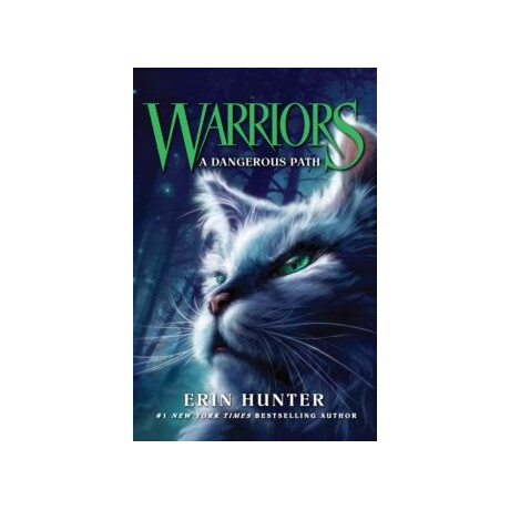 A Dangerous Path : Book 5 A Dangerous Path : Book 5