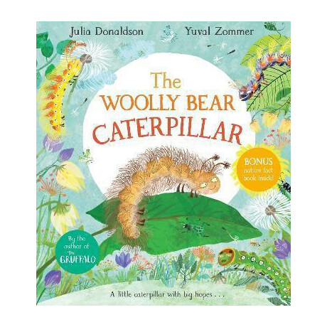 The Woolly Bear Caterpillar