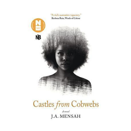 Castles From Cobwebs : Longlisted for the Desmond Elliott Prize