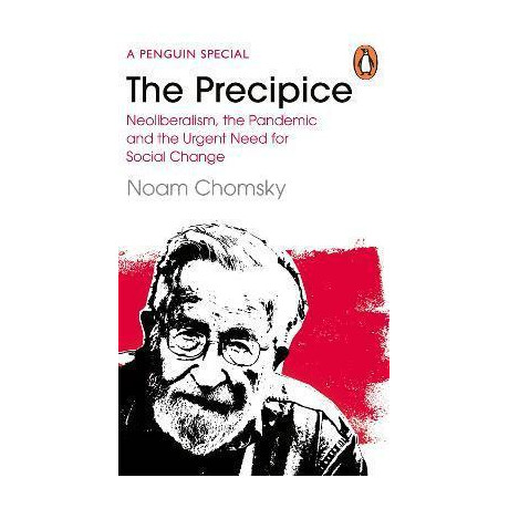 The Precipice : Neoliberalism, the Pandemic and the Urgent Need for Radical Change