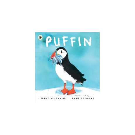 Puffin