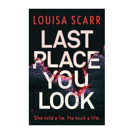 Last Place you Look : a Gripping Police Procedural Crime Thriller