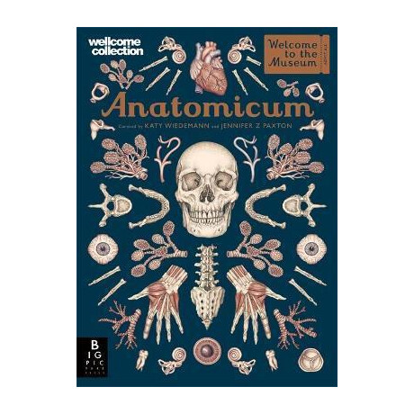 Anatomicum Anatomicum