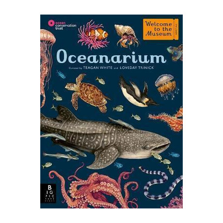 Oceanarium Oceanarium