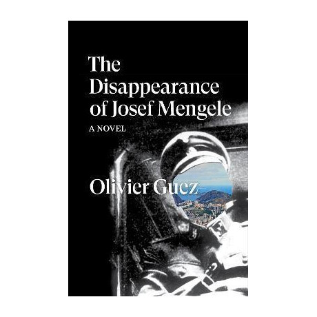The Disappearance of Josef Mengele : a Novel