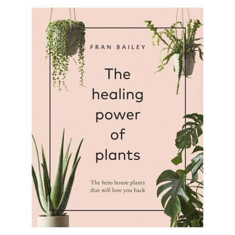 The Healing Power of Plants : the Hero House Plants That Love you Back