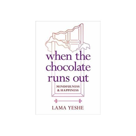 When the Chocolate Runs out : Mindfulness and Happiness