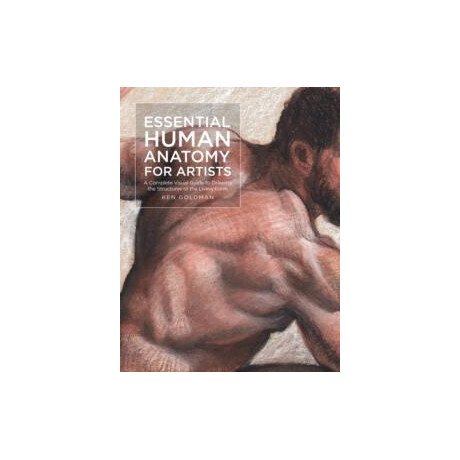 Essential Human Anatomy for Artists