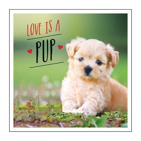 Love is a pup : a dog-Tastic Celebration of the World's Cutest Puppies