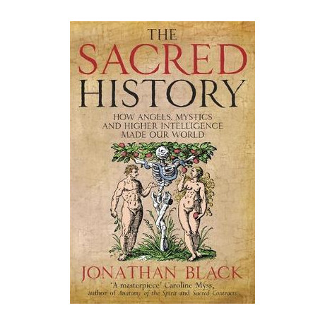 The Sacred History : how Angels, Mystics and Higher Intelligence Made our World