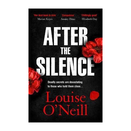 After the Silence : the an Post Irish Crime Novel of the Year