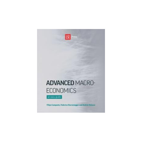 Advanced Macroeconomics : an Easy Guide