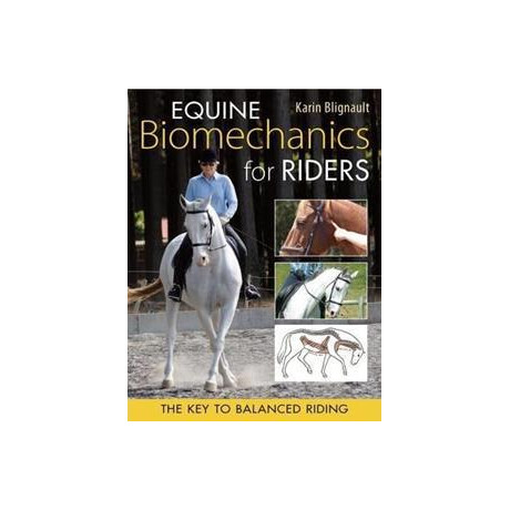 Equine Biomechanics for Riders