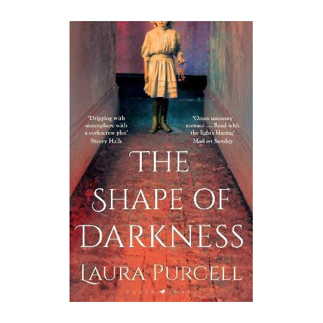 The Shape of Darkness : 'darkly Addictive, Utterly Compelling' Ruth Hogan