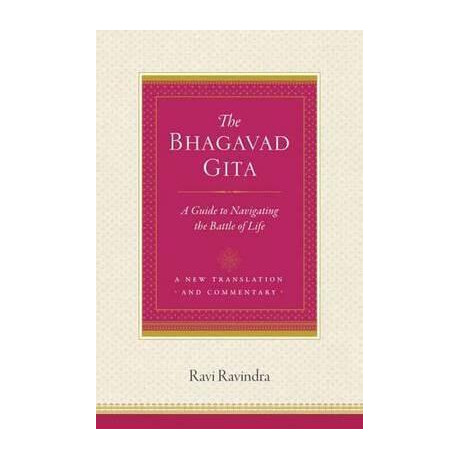The Bhagavad Gita : a Guide to Navigating the Battle of Life