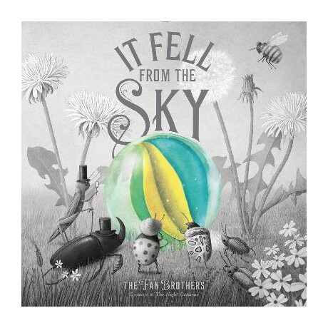 It Fell From the sky