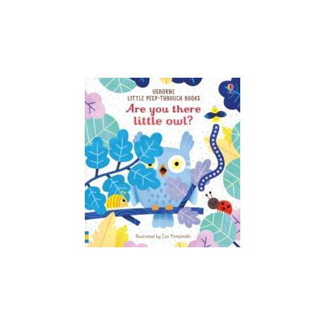 Are you There Little Owl?